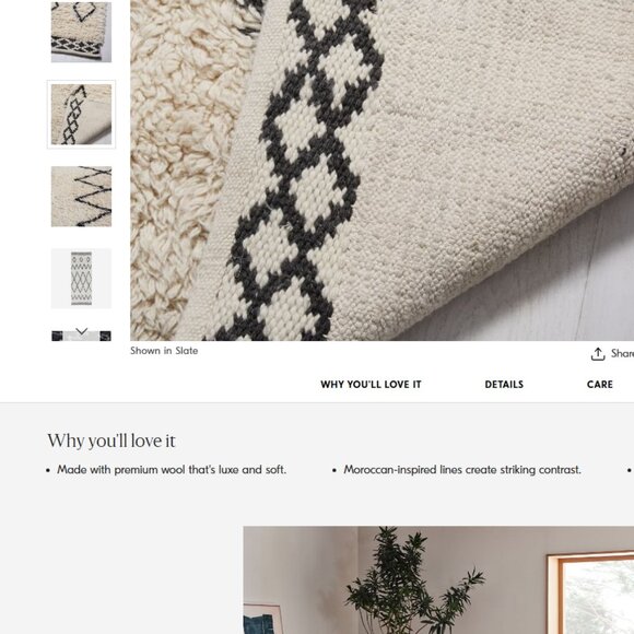 West Elm Rug Kasbah Rug 3ft X 5ft (91cm X 152cm) Soft Wool & Cotton Blend. - Picture 7 of 12